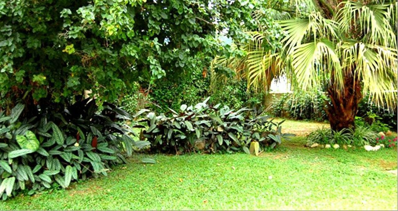 Hotel Primavera Penedo  Luaran gambar